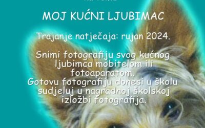 Foto natječaj – Moj kućni ljubimac