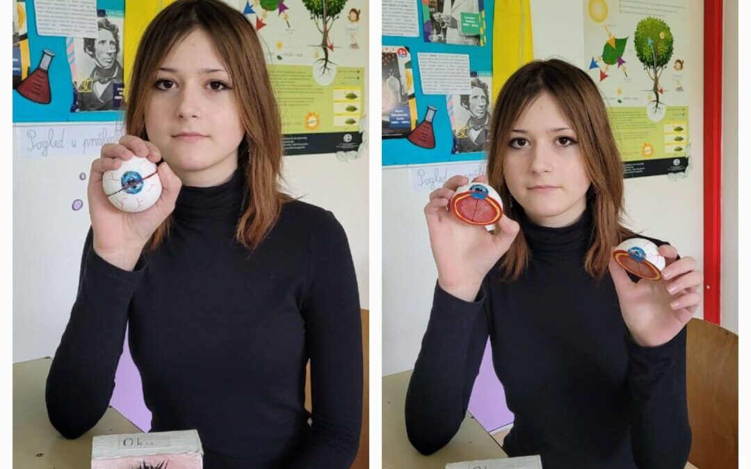 Građa osjetilnih organa