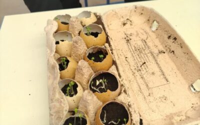 Treća ZERO WASTE radionica “Zavrtimo krug promjena”