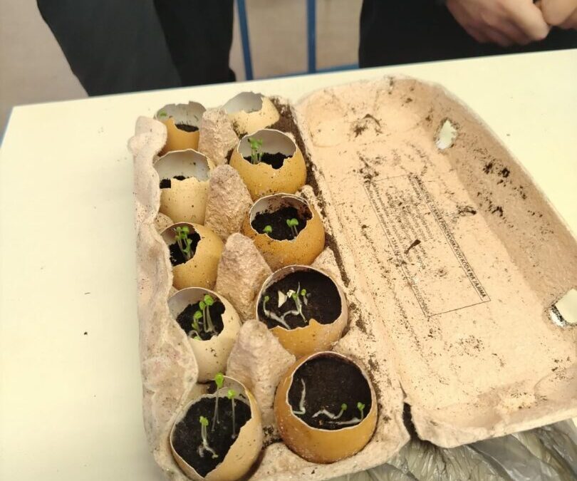 Treća ZERO WASTE radionica “Zavrtimo krug promjena”