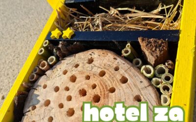 Hotel za kukce i kalendar sadnje