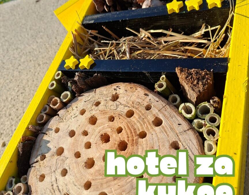 Hotel za kukce i kalendar sadnje