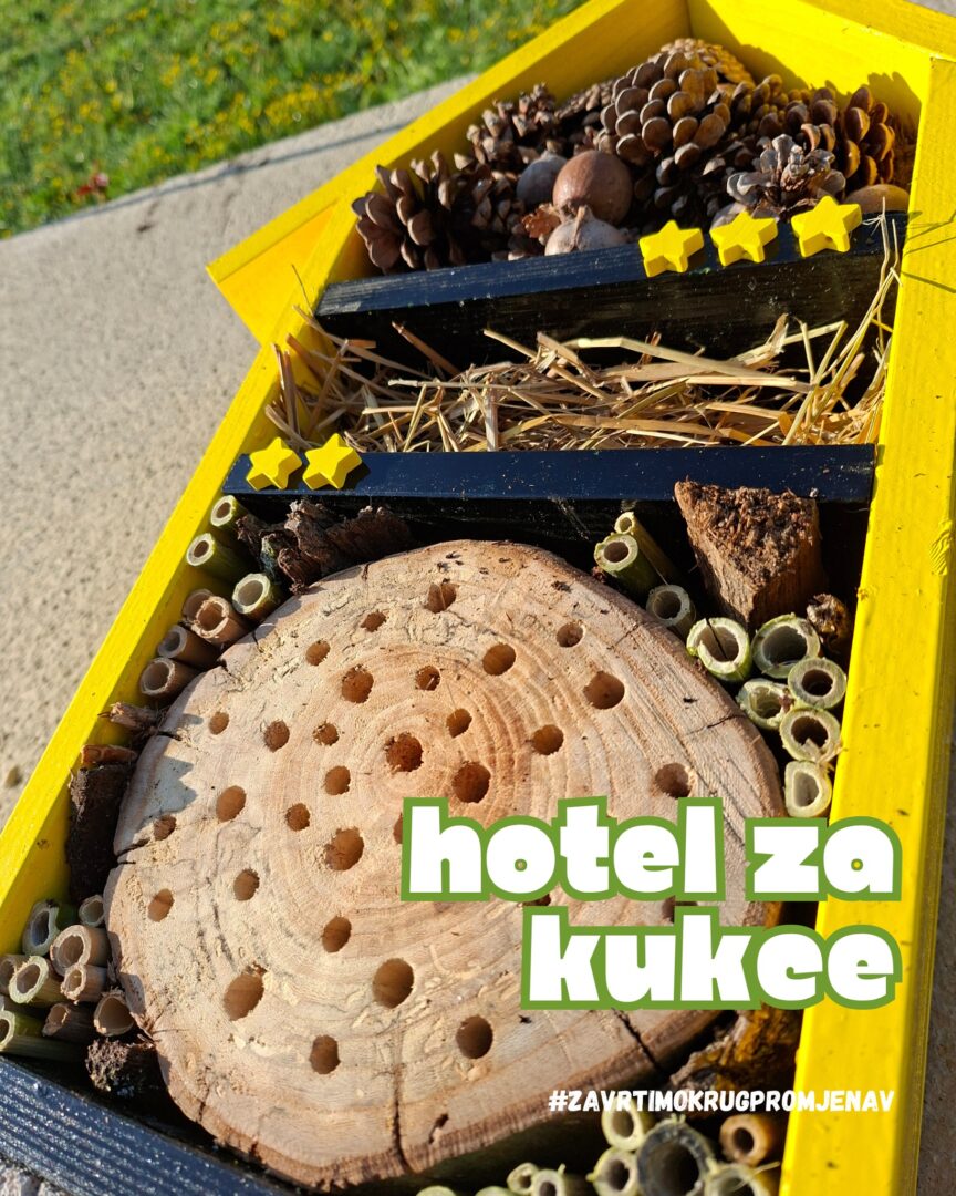 671893850_958740326667266_2560548405084536841_n